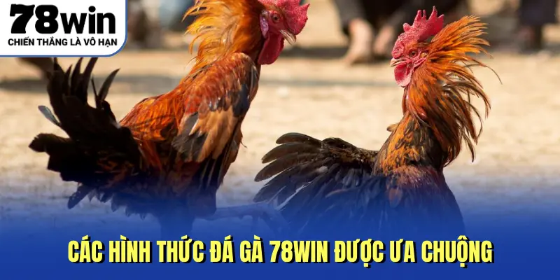 Các hình thức đá gà 78win được ưa chuộng
