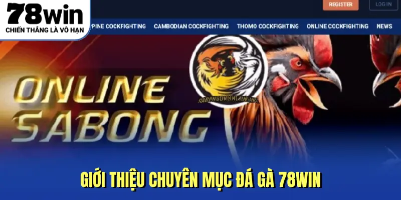 Giới thiệu chuyên mục đá gà 78win
