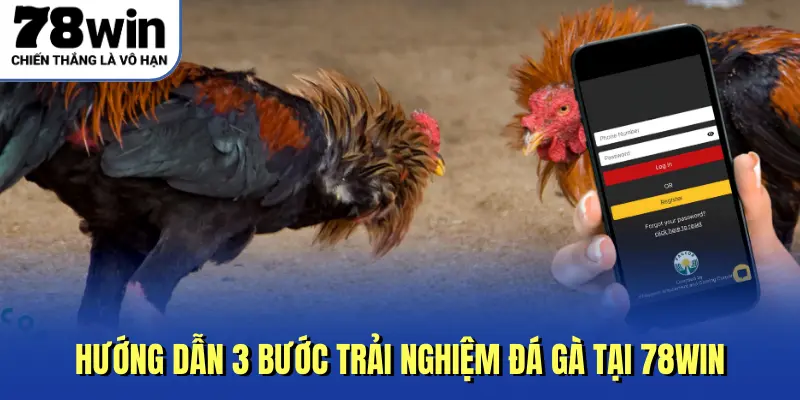 Hướng dẫn 3 bước trải nghiệm đá gà tại 78win